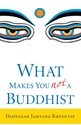 Bild på What Makes You Not a Buddhist