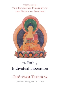 Bild på Path of individual liberation
