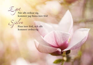 Bild på Egot och själen : magnolia (liggande)