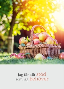 Bild på Jag får allt stöd som jag behöver