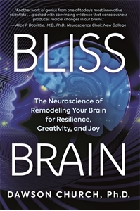 Bild på Bliss Brain