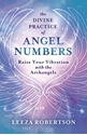 Bild på The Divine Practice of Angel Numbers