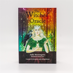 Bild på The Witches' Oracle: (Book & Cards)