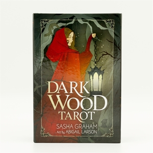 Bild på Dark Wood Tarot