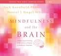 Bild på Mindfulness and the Brain: A Professional Training in the Science & Practice of Meditative Awareness