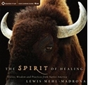 Bild på The Spirit of Healing: Stories, Wisdom, and Practices from Native America