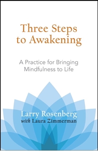 Bild på Three Steps to Awakening : A Practice for Bringing Mindfulness to Life