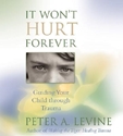 Bild på It Won't Hurt Forever: Guiding Your Child Through Trauma