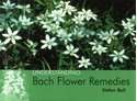 Bild på Understanding Bach Flower Remedies