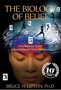 Bild på Biology of belief - unleashing the power of consciousness, matter & miracle