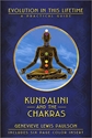 Bild på Kundalini and the chakras - a practical manual - evolution in this lifetime