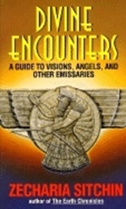 Bild på Divine Encounters: A Guide To Visions, Angels & Other Emissa