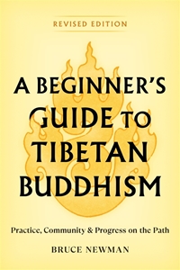 Bild på A Beginner's Guide to Tibetan Buddhism
