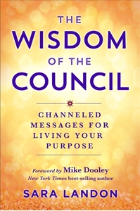 Bild på The Wisdom of The Council