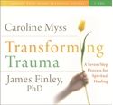 Bild på Transforming trauma - uncovering the spiritual dimension of healing