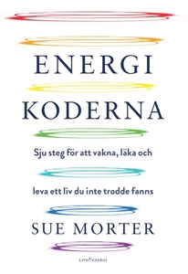 Bild på Energikoderna : sju steg för att vakna, läka och leva ett liv du inte trodde fanns