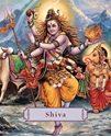 Bild på Shiva: Lord Of The Dance (Pocket-Sized) (H)