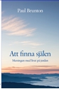 Bild på Att finna själen : Meningen med livet på jorden