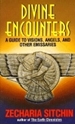 Bild på Divine Encounters: A Guide To Visions, Angels & Other Emissa