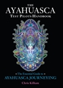 Bild på Ayahuasca test pilots handbook - the essential guide to ayahuasca journeyin