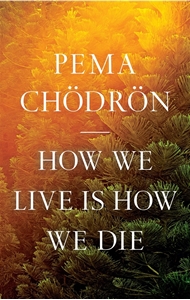 Bild på How We Live Is How We Die