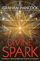 Bild på Divine spark - psychedelics, consciousness and the birth of civilization