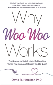 Bild på Why Woo Woo Works