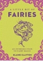 Bild på Little bit of fairies - an introduction to fairy magic