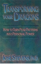 Bild på Transforming Your Dragons : How to turn fear patterns into personal power