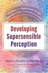 Bild på DEVELOPING SUPERSENSIBLE PERCEPTION HB