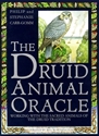 Bild på Druid Animal Oracle