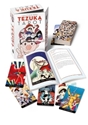 Bild på Tezuka Tarot