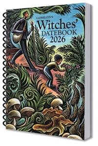 Bild på Llewellyn's 2026 Witches' Datebook