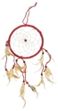 Bild på Dreamcatcher water spirit