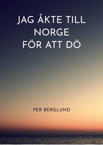 Bild på Jag åkte till Norge för att dö