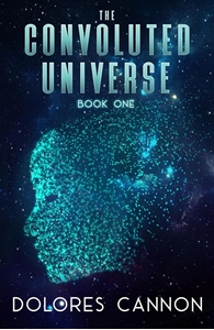 Bild på Convoluted universe: book one