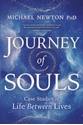 Bild på Journey of souls - case studies of life between lives