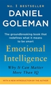 Bild på Emotional intelligence