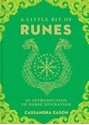 Bild på Little bit of runes - an introduction to norse divination