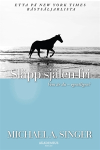 Bild på Släpp själen fri : resan bortom dig själv