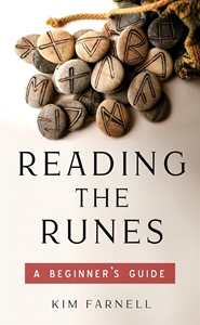 Bild på Reading The Runes : A Beginner's Guide