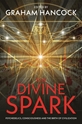 Bild på Divine spark - psychedelics, consciousness and the birth of civilization