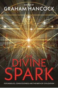 Bild på Divine spark - psychedelics, consciousness and the birth of civilization