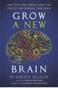 Bild på Grow a New Brain: How Spirit and Power Plants Can Protect and Upgrade Your Brain